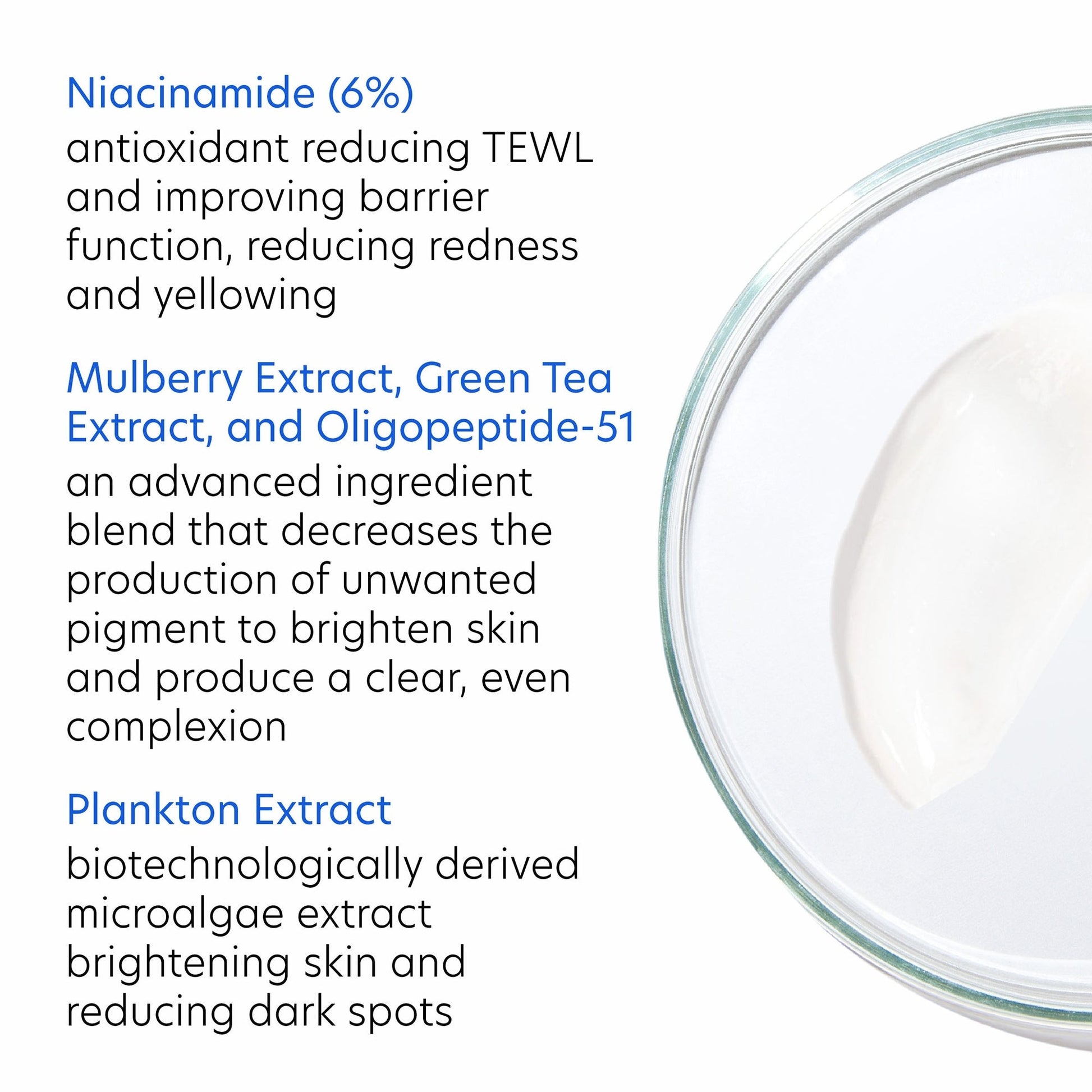 Vitamin B3 Brightening Serum